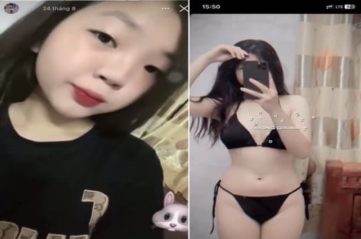Thỏ nghịch ngợm với con bướm nóng bỏng