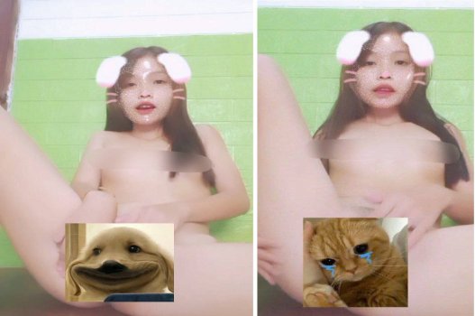 Thỏ nước tụ tình khi bướm bị xoạc